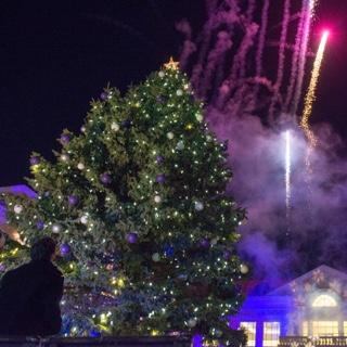 A large fresh tree is unveiled on the TCU campus with lights, crowds, revelers and fireworks